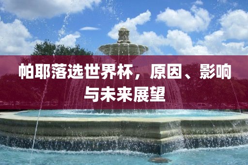 帕耶落选世界杯，原因、影响与未来展望
