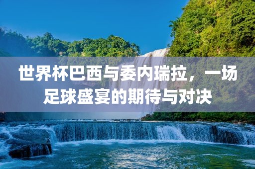 世界杯巴西与委内瑞拉漯河市盈旭机械设备有限公司，一场足球盛宴的期待与对决