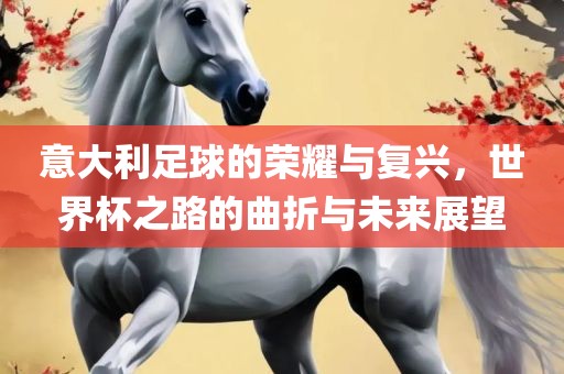 意大利足球的荣耀与复兴，世漯河市盈旭机械设备有限公司界杯之路的曲折与未来展望