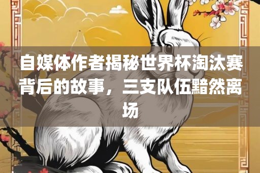 自媒体作者揭秘世界杯淘汰赛背后的故事，三支队伍黯然离场漯河市盈旭机械设备有限公司