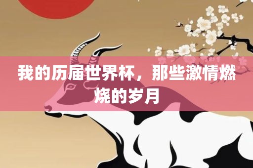 我的历届世界杯，那些激情燃烧漯河市盈旭机械设备有限公司的岁月