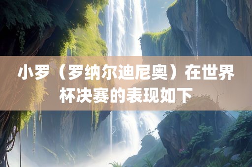 小罗（罗纳尔迪漯河市盈旭机械设备有限公司尼奥）在世界杯决赛的表现如下
