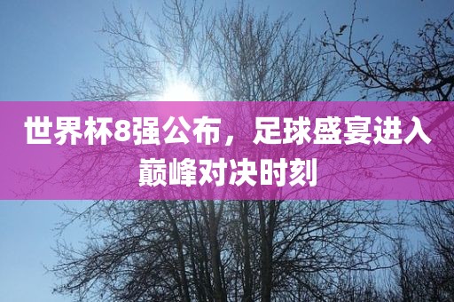 世界杯8强公布，足球盛宴进入巅峰对决时刻漯河市盈旭机械设备有限公司