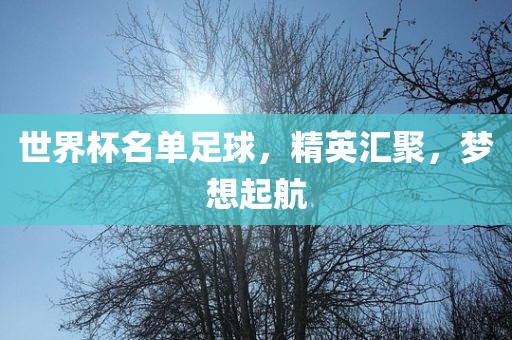 世界杯漯河市盈旭机械设备有限公司名单足球，精英汇聚，梦想起航