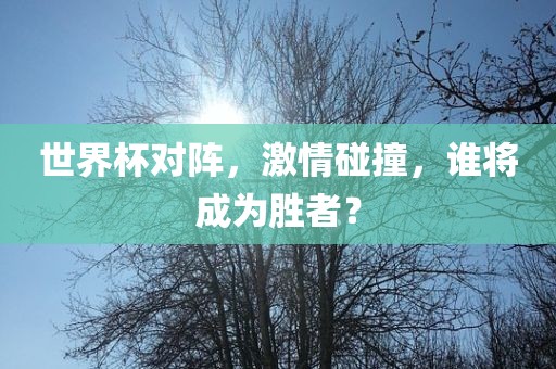 世界杯对阵，激情碰撞，谁将成为胜者？