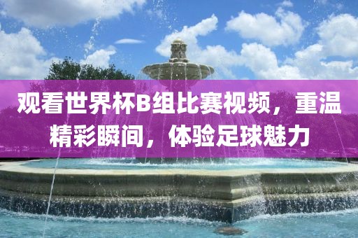 观看世界杯B组比赛视频，重温精彩瞬间，体验足球魅力