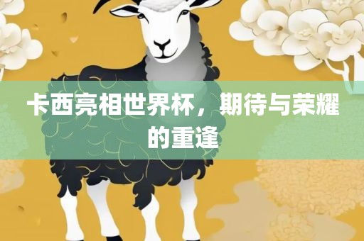 卡西亮相世界杯，期待与荣耀的重逢