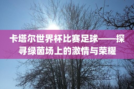 liziping