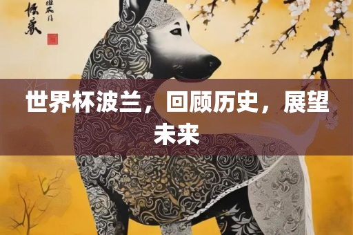 世界杯波兰，回顾历史，展望未来漯河市盈旭机械设备有限公司