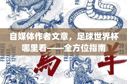 自媒体作者文章，足球世界杯哪里看——全方位指南