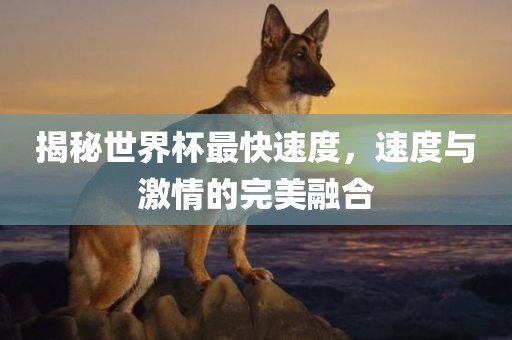 揭秘世界杯最快速度，速度与激情的完美融合