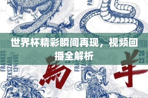 世界杯精彩瞬间再现，视频回播全解析