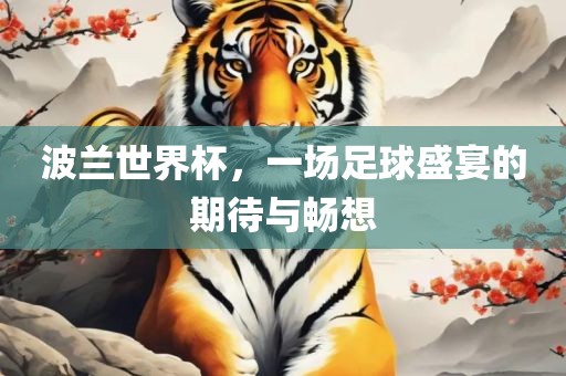 波兰世界杯，一场足球盛宴的期待与畅想