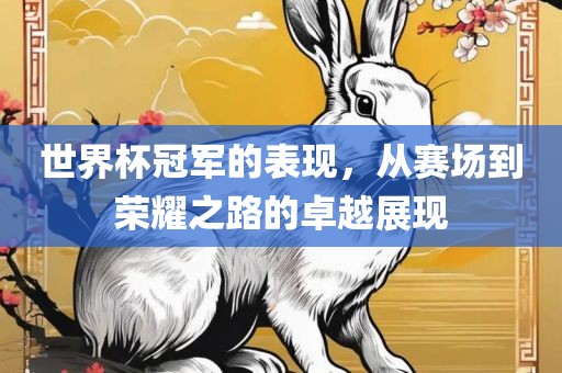世界杯冠军的表现，从赛场到荣耀之路的卓越展现