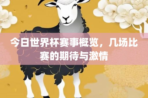 今日世界杯赛事概览，几场比赛的期待与激情