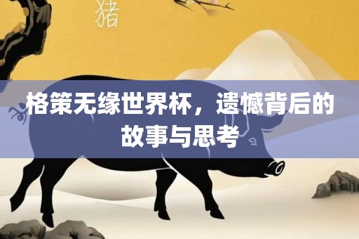 格策无缘世界杯，遗憾背后的故事与思考