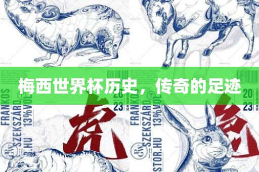 梅西世界杯历史，传奇的足迹