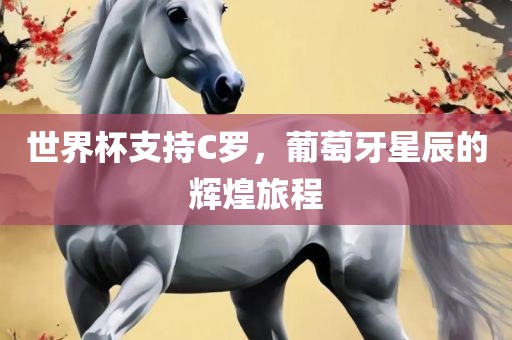 世界杯支持C罗，葡萄牙星辰的辉煌旅程