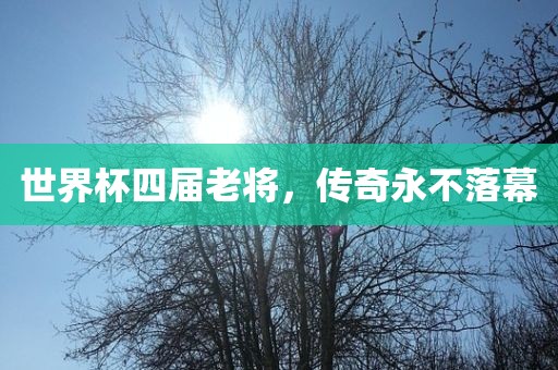 世界杯四届老将，传奇永不落幕