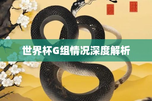世界杯G组情况深度解析