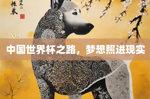 中国世界杯之路，梦想照进现实