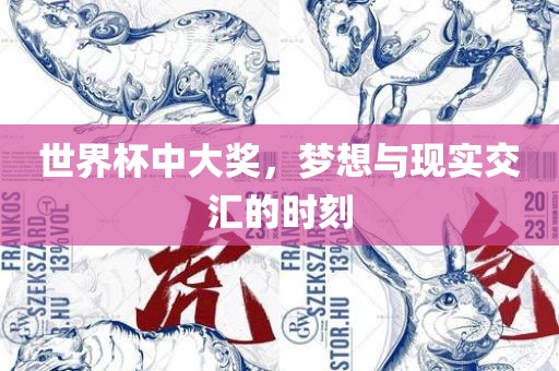世界杯中大奖，梦想与现实交汇的时刻
