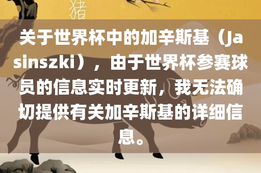 关于世界杯中的加辛斯基（Jasinszki），由于世界杯参赛球员的信息实时更新，我无法确切提供有关加辛斯基的详细信息。