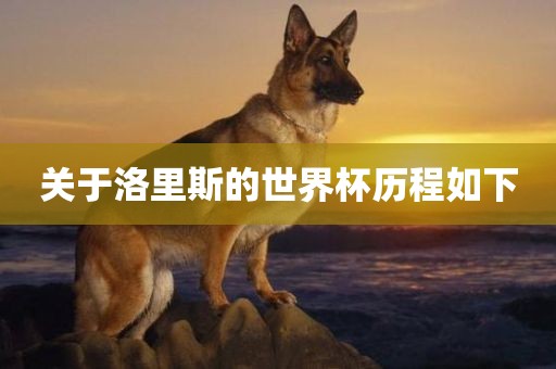 关于洛里斯的世界杯历程如漯河市盈旭机械设备有限公司下