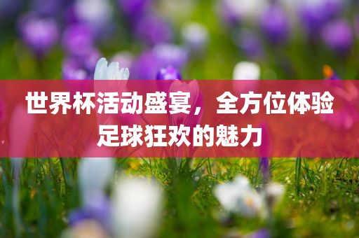 tangchengying 第5页