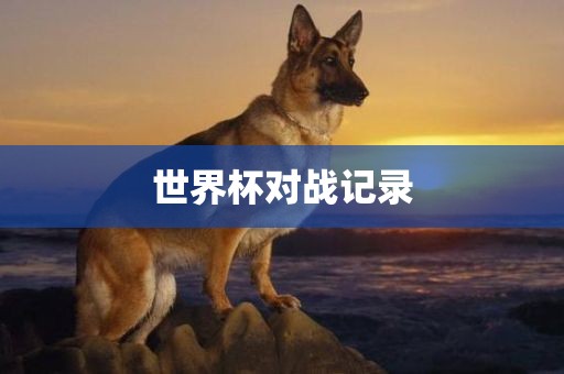 世界杯对战记录
