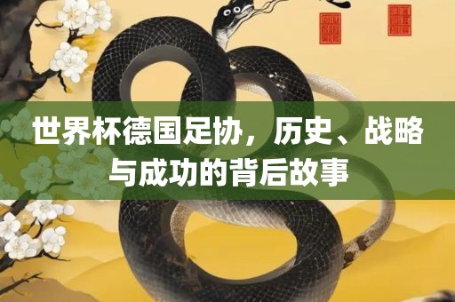 世界杯德国足协，历史、战略与成功的背后故事