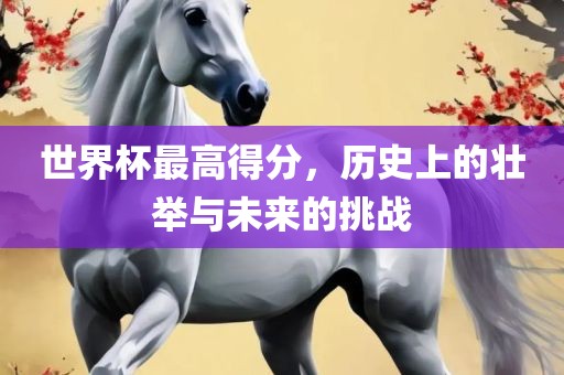 世界杯最高得分，历史上的壮举与未来的挑战