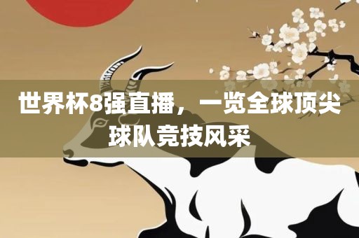 世界杯8强直播，一览全球顶尖球队竞技风采