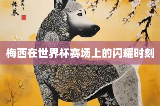梅西在世界杯赛场上的闪耀时刻