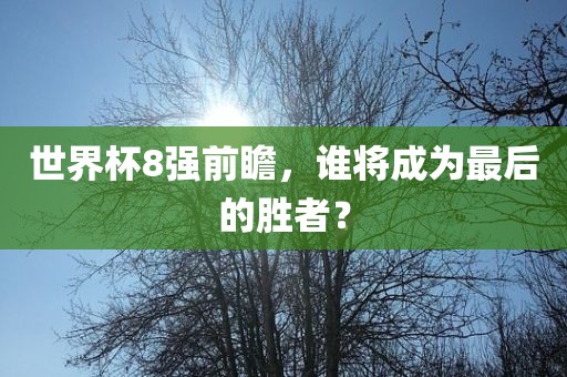 世界杯8强前瞻，谁将成为最后的胜者？