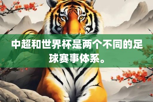 中超和世界杯是两个不同的足球赛事体系。