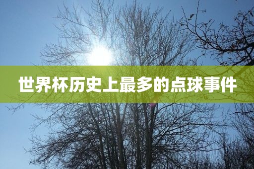 世界杯历史上最多的点球事件