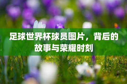 足球世界杯球员图片，背后的故事与荣耀时刻