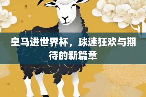 皇马进世界杯，球迷狂欢与期待的新篇章