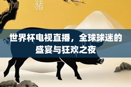 世界杯电视直播，全球球迷的盛宴与狂欢之夜