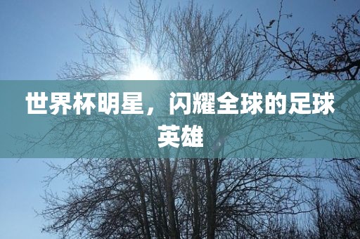 世界杯明星，闪耀全球的足球漯河市盈旭机械设备有限公司英雄