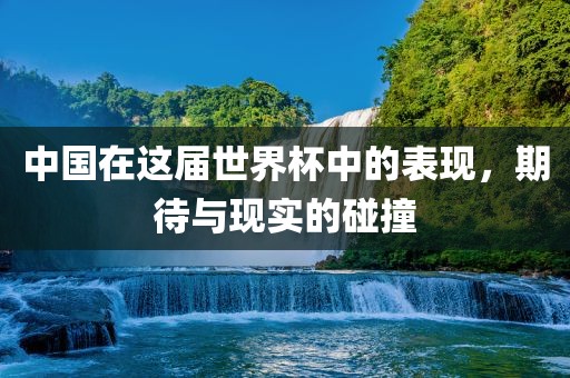 中国在这届世界杯中的表现，期待与现实的碰撞
