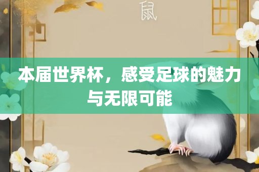 本届世界杯，感受足球的魅力与无限可能