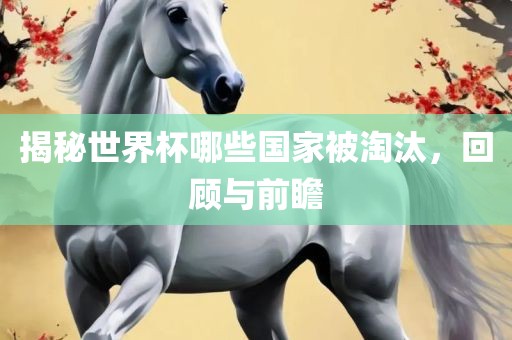 揭秘世界杯哪些国家被淘汰，回顾与前瞻