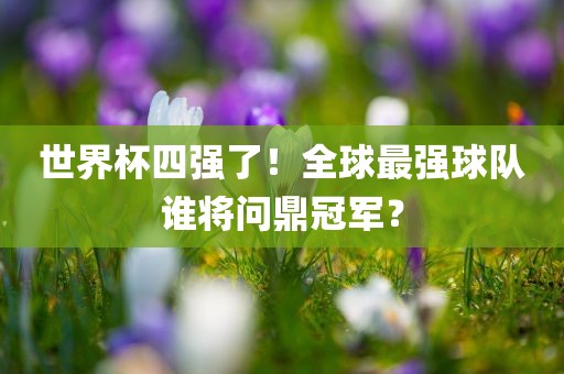 世界杯四强了！全球最强球队谁将问鼎冠军？