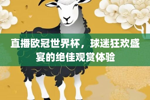 直播欧冠世界杯，球迷狂欢盛宴的绝佳观赏体验