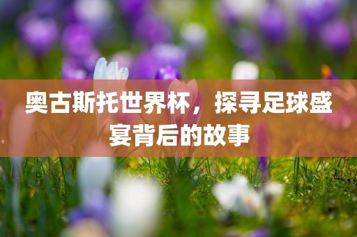 奥古斯托世界杯，探寻足球盛宴背后的故事