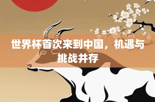 世界杯首次来到中国，机遇与挑战并存