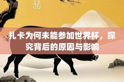 扎卡为何未能参加世界杯，探究背后的原因与影响