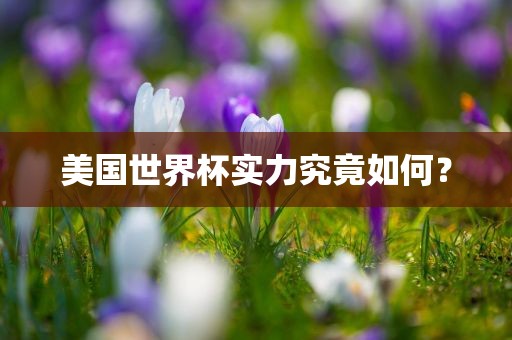 美国世界杯实力究竟如何？